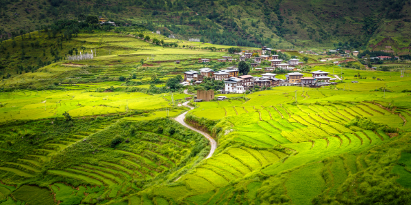 Bhutan, by Art In Voyage