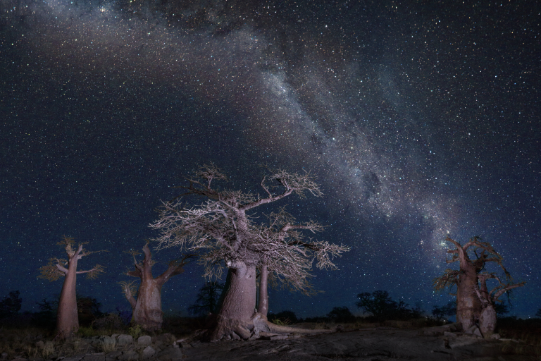 high end adventure luxury Africa expedition, by Art In Voyage