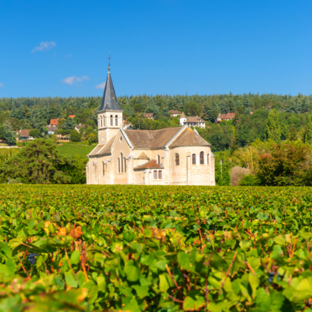 Decanting Burgundy and Beaujolais, by Art in Voyage