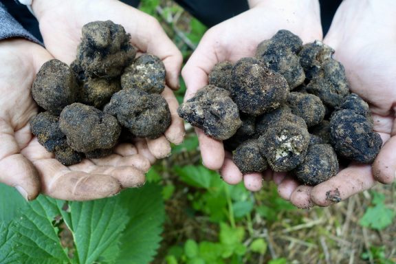 Floral Spoleto and truffles in Montefalco
