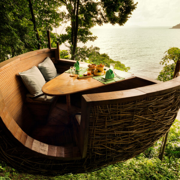 Art in Voyage