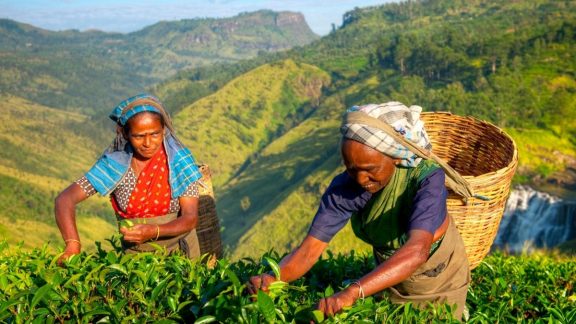Ceylon and Sri Lankan cuisine