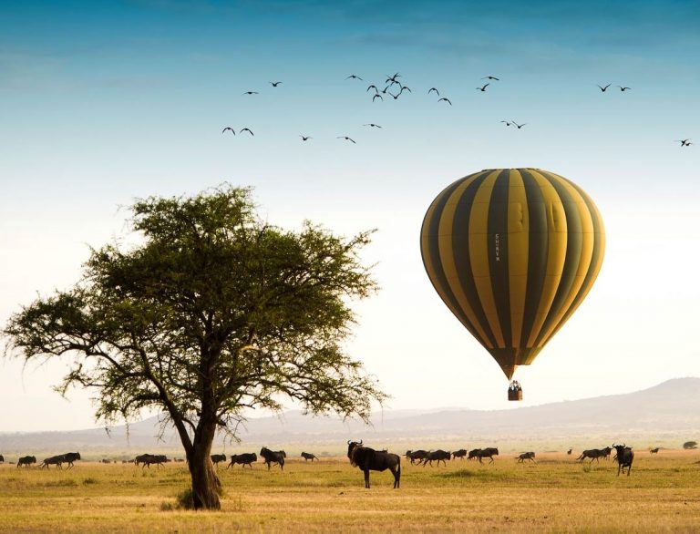 Magellan Odyssey in Tanzania