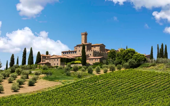 Wines of Montalcino