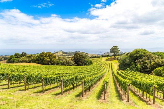 Waiheke Island