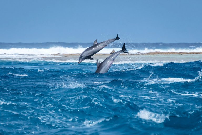 Hidden secrets of French Polynesia, by Art In Voyage