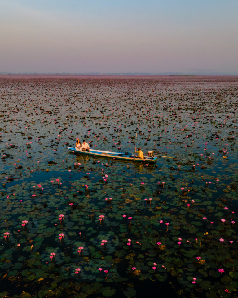 Red Lotus Lake, Thailand, By Art In Voyage