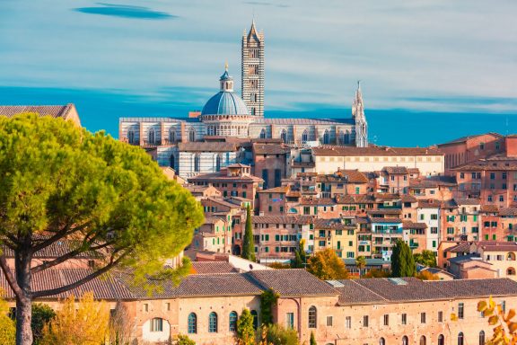 Walking tour in Siena and Tuscan wine tastings