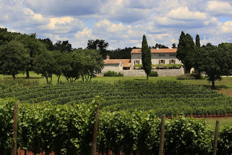 The Wine Fairy Experience, by Art In Voyage