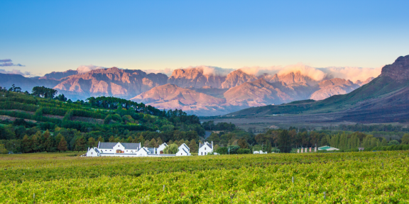 TIM TALKS WINE IN SOUTH AFRICA