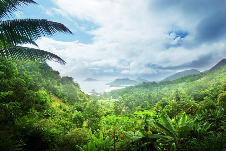 The Seychelles, by Art In Voyage