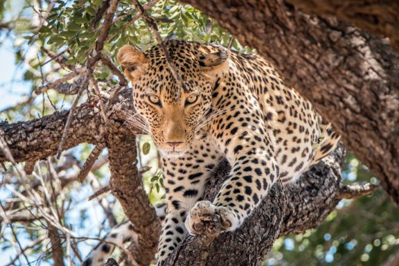Off to Kruger National Park