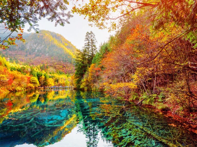 Beyond Travel with Art in Voyage