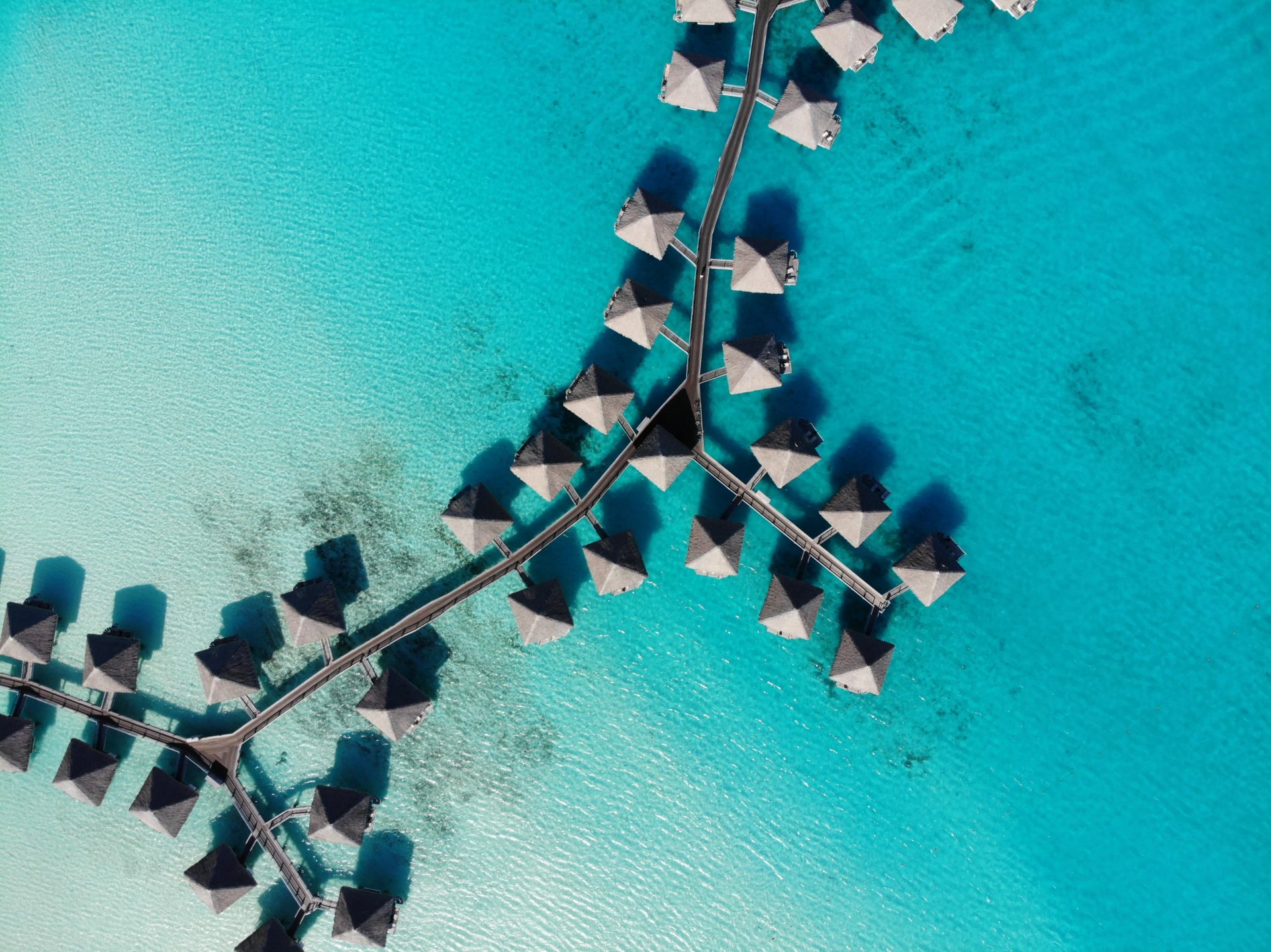 Art in Voyage