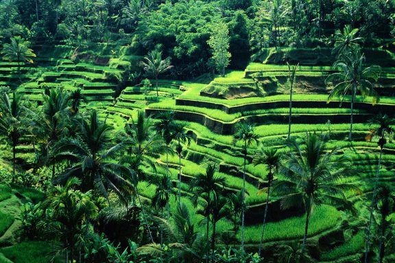 Indonesia By Art In Voyage
