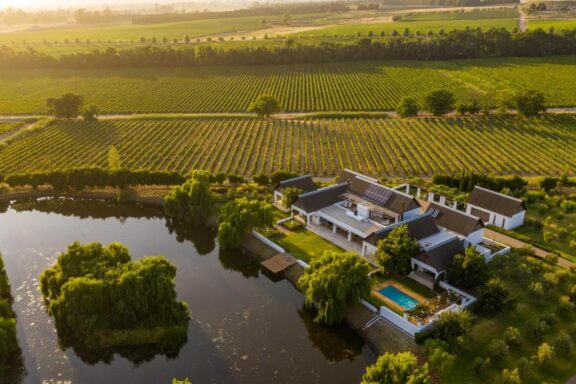 The Cape Winelands